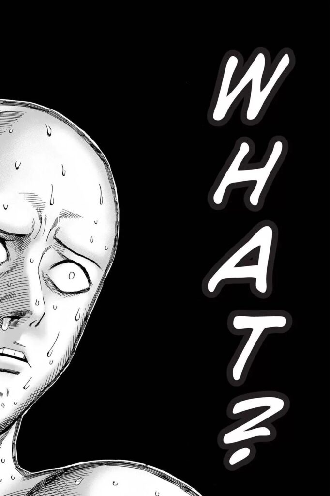 Manga OPM (10)