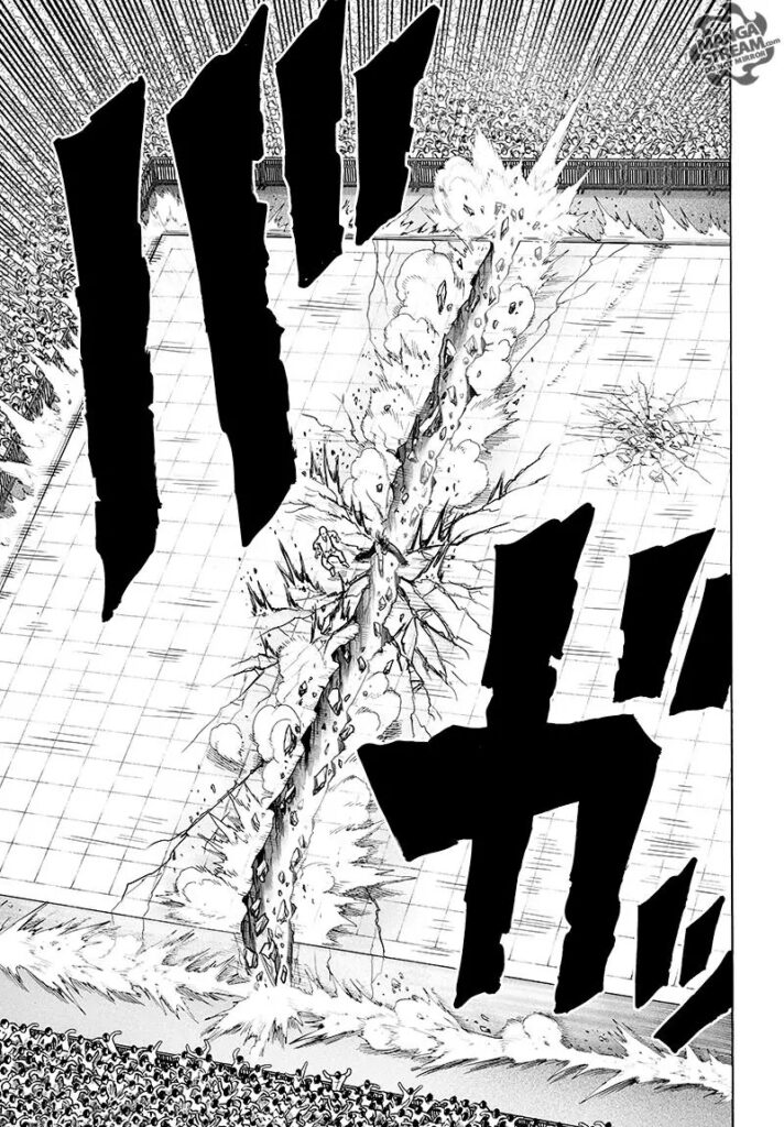 Manga one punch man (12)