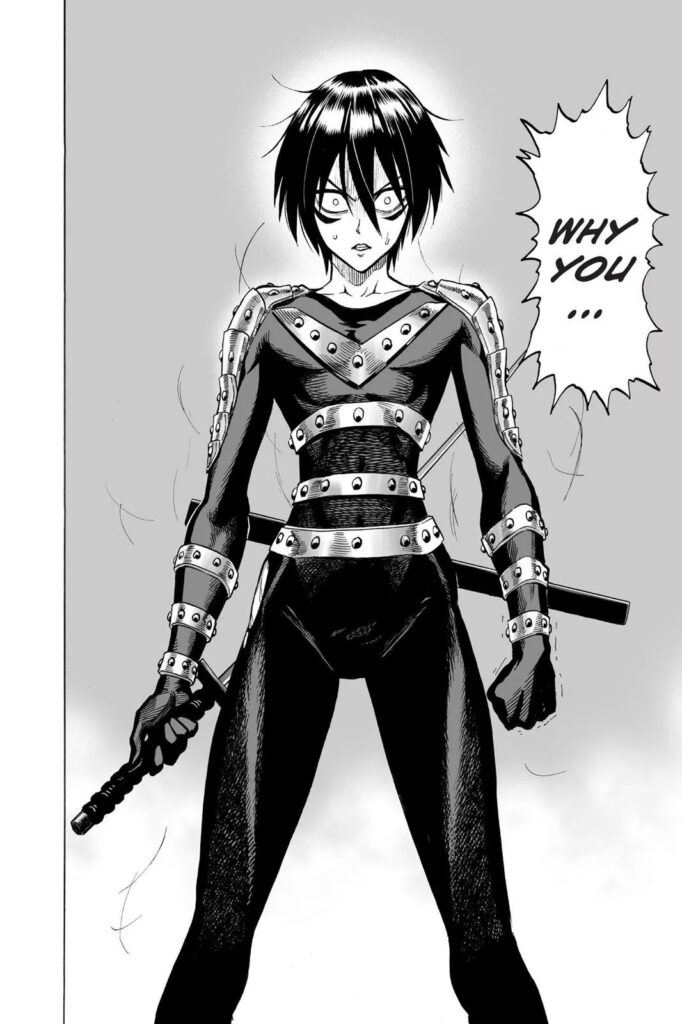Manga punch man online (14)
