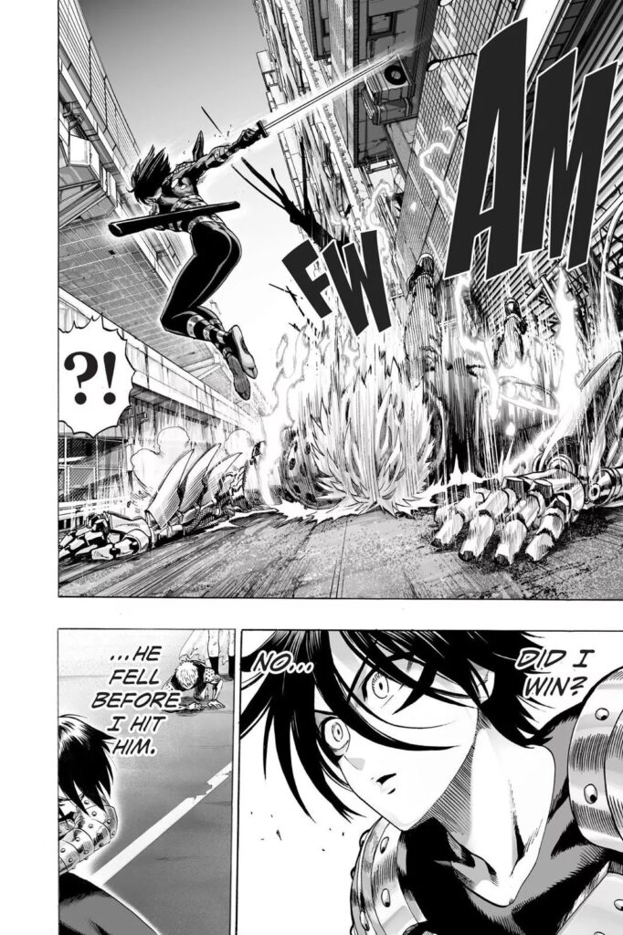 Manga punch man online (23)