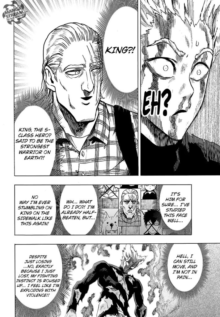 One Punch Man (25)