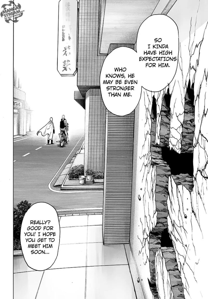 One Punch Man (32)