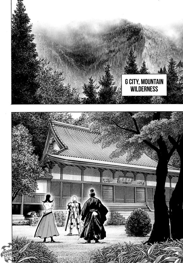 One punch man online (3)