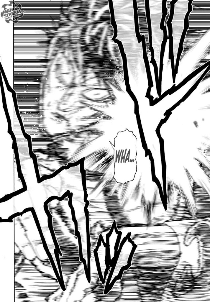 Punch man (18)