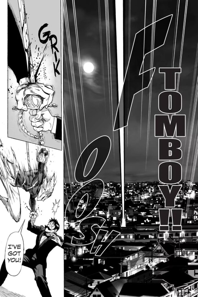 Punch man manga (21)